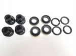 Click Here For Full Product Info E17579 CONVERSION KIT-BRAKE CALIPER-O RING STYLE-REAR-SEALS & PISTONS ONLY-1 CALIPER-65-82