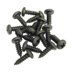 Click Here For Full Product Info E12593 SCREW SET-HEADLAMP RETAINING RING-12 PIECES-58-82