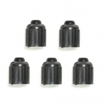 E14404 CAP SET-WHEEL-VALVE STEM-CORRECT 627 AND DILL LETTERING-5 PC-60-04