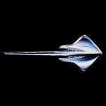 Click Here For Full Product Info E15851 SIGN-C7 CORVETTE STINGRAY EMBLEM-50 X 18