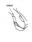 Click Here For Full Product Info E16037 SHIELD-SPLASH-REAR FENDER-PRESS MOLDED-WHITE-LEFT-56-58