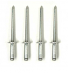 Click Here For Full Product Info E19180 RIVET KIT-REAR BUMPER IMPACT BAR-4 PIECES-74