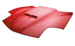 Click Here For Full Product Info E20541 HOOD-FIBERGLASS-RAM AIR-RK SPORT-97-04