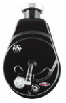 Click Here For Full Product Info E21266 PUMP-POWER STEERING-NEW-BLACK-SAGINAW STYLE-DIRECT FIT-80-82