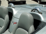 Click Here For Full Product Info E21296 ROLL BARS-FAUX HOOPS-CONVERTIBLE-PAIR-05-13