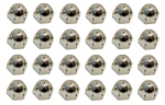 Click Here For Full Product Info E3738 NUT SET-ACORN-SIDE SEAT HINGE-24 PIECES-78 PACE CAR-79-82
