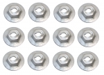 Click Here For Full Product Info E6258 NUT KIT SPEED-FOR HOOD NUMBERS-12 PIECES-68-72