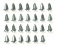 21031 SCREW SET-COUPE WINDSHIELD CLIP-27 PIECES-64-67