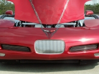 E21463 GRILLE-FRONT TAG PLATE-PERFORATED-POLISHED-STAINLESS STEEL-97-04