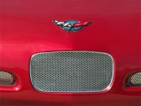 E21463 GRILLE-FRONT TAG PLATE-PERFORATED-POLISHED-STAINLESS STEEL-97-04
