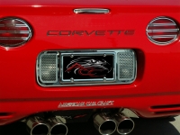 E21464 GRILLE-REAR TAG PLATE-PERFORATED-POLISHED-STAINLESS STEEL-97-04