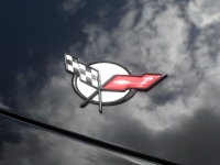 E21476 EMBLEM-INSERTS-POLISHED STAINLESS STEEL-FRONT AND REAR-8 PCS-97-04
