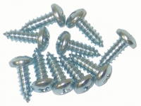 E8875 SCREW SET-DOOR GARNISH MOLDING INNER-10 PIECES-56-62