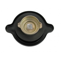 E9565 CAP-OIL FILLER-BLACK-S ON RIVET HEAD-65-82