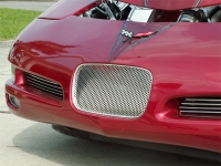 E21463 GRILLE-FRONT TAG PLATE-PERFORATED-POLISHED-STAINLESS STEEL-97-04