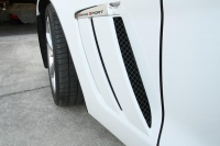 E21625 Vent Grille-Front Side Fender-Laser Mesh-Black Stealth-Grandsport-6 pieces-10-13